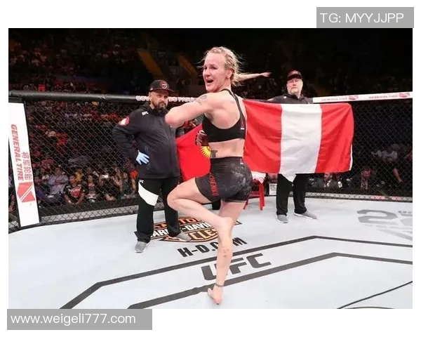 UFC巅峰对决布洛克与康纳的传奇之战即将上演