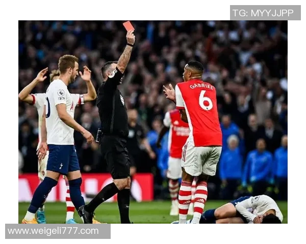 裁判承认误判引发争议阿森纳有效进球被取消致歉声明发布 裁判承认误判引发争议阿森纳有效进球被取消致歉声明发布