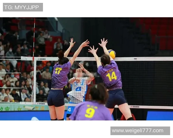 辽宁女排与广东女排激战正酣谁将夺得本赛季女排联赛的冠军荣耀