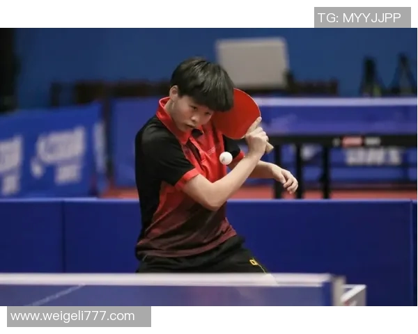 田宇翔的奋斗历程与人生哲学探讨：从平凡到卓越的成长之路