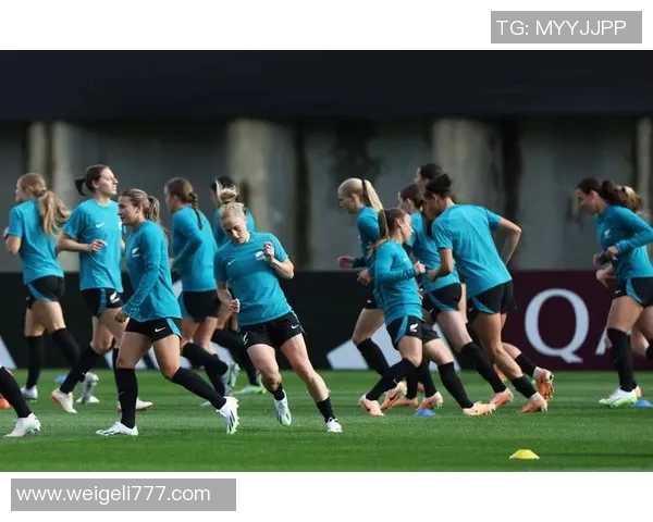 蓝队与新西兰精彩对决视频回放全程回顾与分析