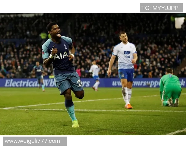 特兰米尔足球俱乐部的辉煌历程与未来发展展望