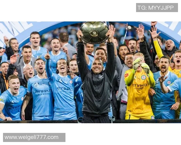 墨尔本胜与布里斯班的精彩对决分析与赛后点评