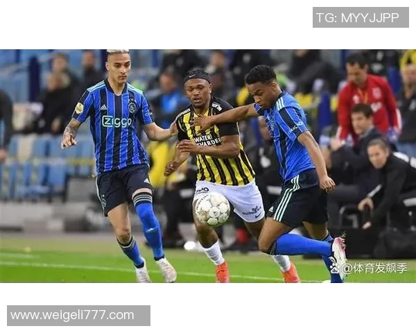 海牙与维迪斯对决前瞻分析及比赛结果预测解析